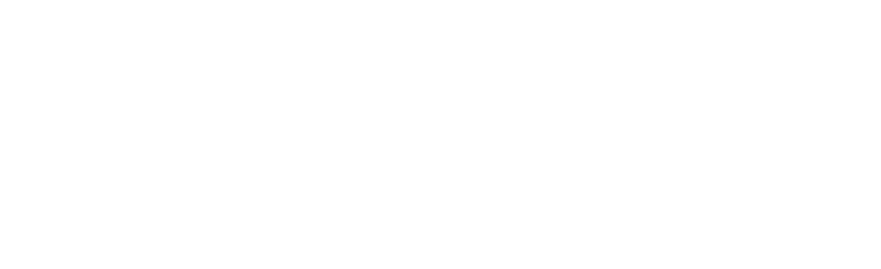 TravelHub